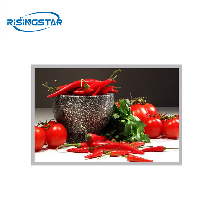 MNF601EA1-1 LCD Screen Module